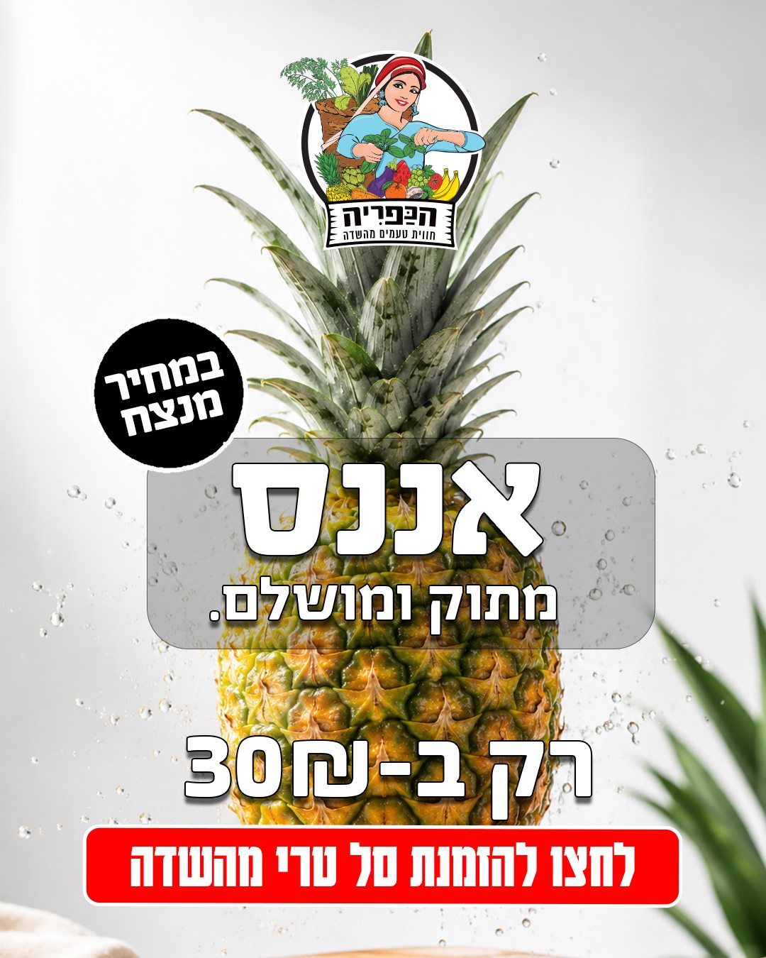 מודעת אננס של הכפרייה